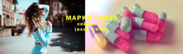 гашик Абаза