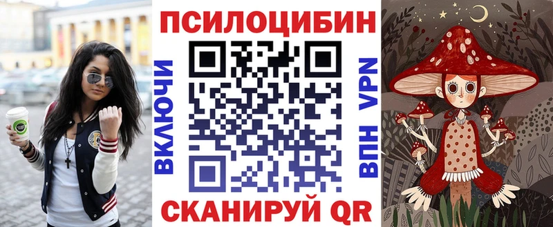 купить  сайты  Кочубеевское  Галлюциногенные грибы GOLDEN TEACHER 