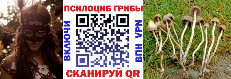 Псилоцибиновые грибы мухоморы Кочубеевское